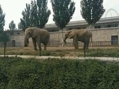 -石家庄市动物园