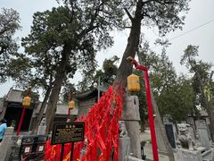 -关林