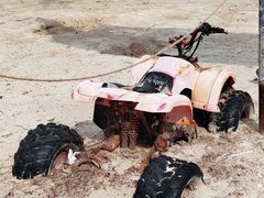 -巽寮印象美食部落餐厅·海鲜·地方特色菜(惠州体验店)