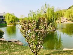 -鹦鹉寺公园