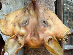 -寻宝记绍兴菜(笛扬楼店)