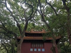 -普陀山风景名胜区-法雨禅寺