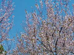 -玄武湖景区-情侣园游乐场