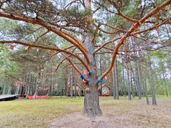 -北极村旅游风景区