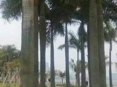 -情侣路