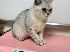 -宠颐生中康贝怡动物医院