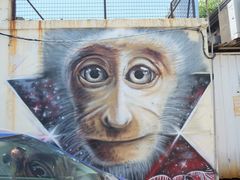 -槟城街头艺术街区