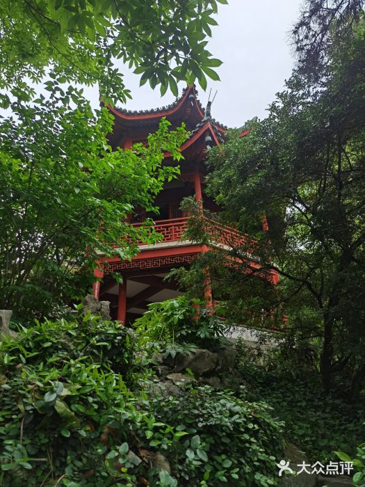 汇龙潭图片