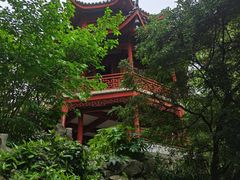 -汇龙潭