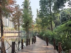 -重庆彩云湖湿地公园