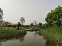 -宁波杭州湾国家湿地公园