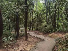 -岳麓山风景名胜区