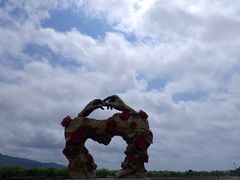 -亚龙湾国际玫瑰谷