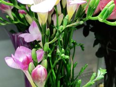 -花心思鲜花店(武昌徐东店)