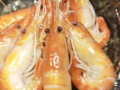 -黑松白鹿(金融街店)