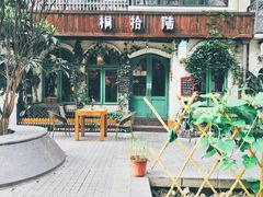 -泡桐树街