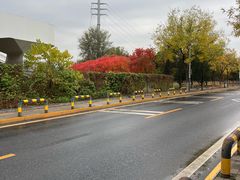 -永定河休闲森林公园