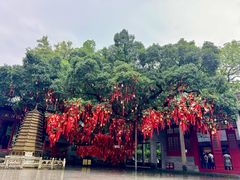-国恩寺