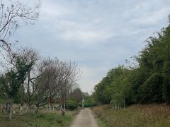 -白鹭湾湿地公园