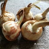 吃得是福，胖瘦在天