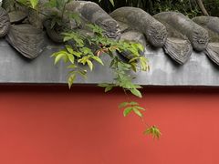 -成都杜甫草堂博物馆