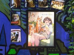 -屋有岛沉浸游戏旗舰店(中山公园店)