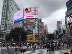 -涩谷区