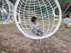 -百果山乐享果玩