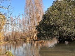 -洛阳市隋唐城遗址植物园