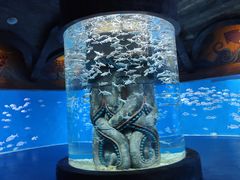-波塞冬海底世界