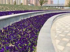 -菊园百果园