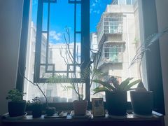 -知亘茶食