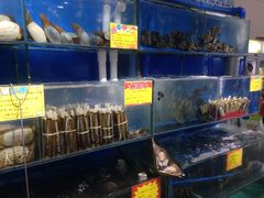 水产区-蚝专家(北滘店)