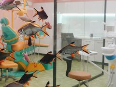 -牙博士口腔(杨浦店)