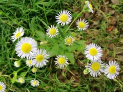 -安庆师范大学(龙山校区)