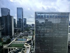 -深圳湾科技园丽雅查尔顿酒店