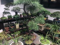 -我嘉书房(南翔名士居店)