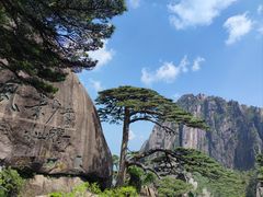 -黄山风景区