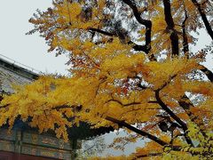 -红螺寺