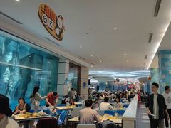 -帝企鹅自助餐厅•儿童岛•真企鹅(长隆企鹅酒店)