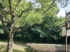 -旺山·浪头人家