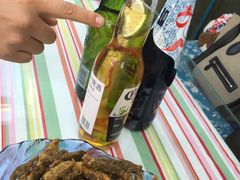 -Sirena海妖日咖夜酒