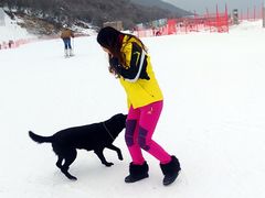 -太子岭滑雪场
