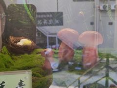 -七采菌园·野生菌石锅鱼(环城北路店)