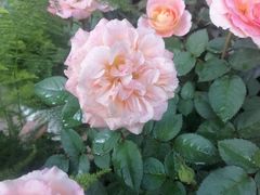 -唱客美食KTV量贩(日新路店)