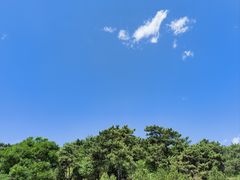 -北京西山国家森林公园