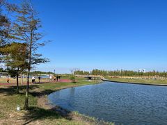 -春花秋色城市公园