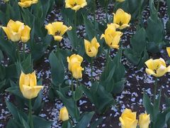 -长春公园(普阳街道)