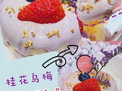 -狐狸和向日葵(北京路店)