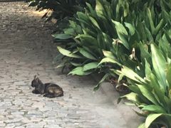 -上海市龙华烈士陵园